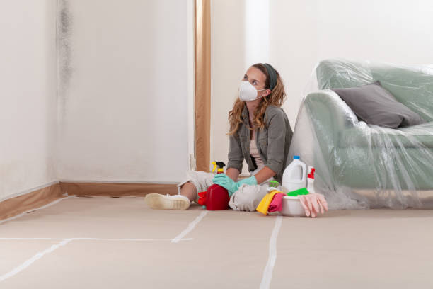 Reliable Mold Remediation contractor in Marysville, MI by Cheap Mold Removal